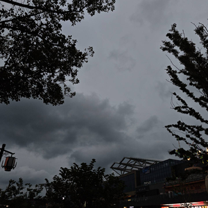 你好像并不怕失去我