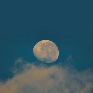 Thoughtful (Meditation)