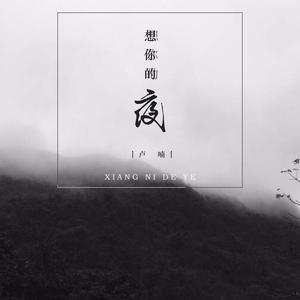 想你的夜 (伴奏)