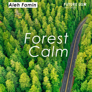 Forest Сalm