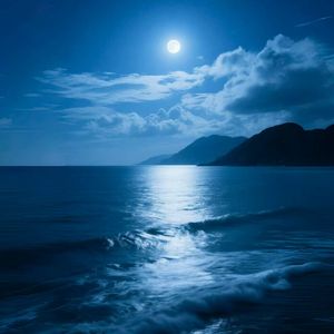 天涯共此时 伴奏