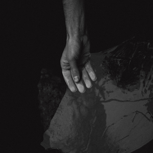 Katharsis (Original)