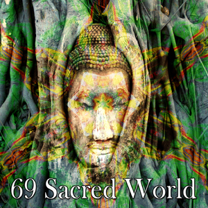 感同身受的智慧