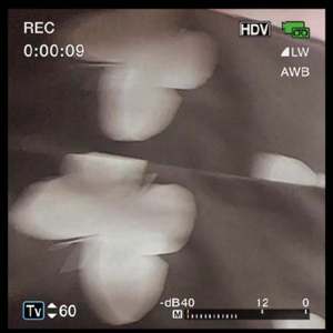 【FREE】'NONONONOemo‘