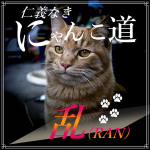 仁義なきにゃんこ道～乱（RAN）