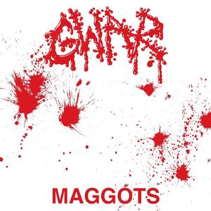 Maggots