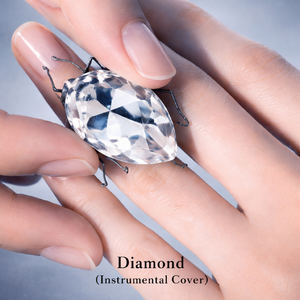 名もなき感情（连名字也没有的感情）