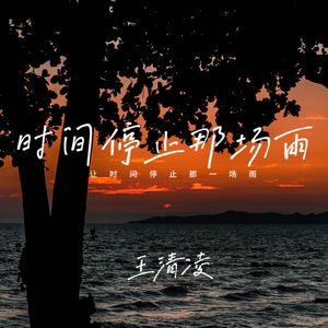 让时间停止那一场雨