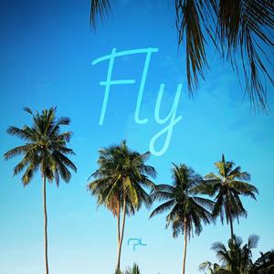 Fly