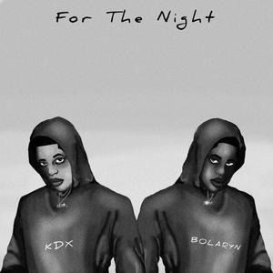 For The Night (feat. Bolaryn)