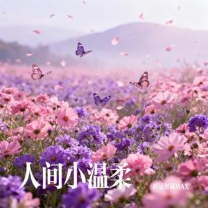 人间小温柔