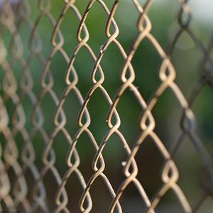 活下去(牢笼版)