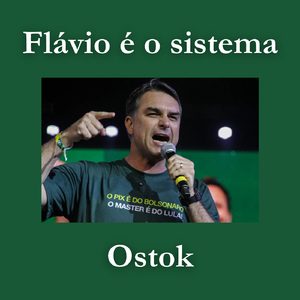 Flávio É O Sistema