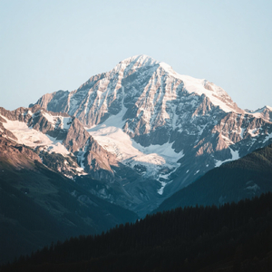 Don't like handsomeness