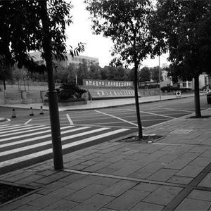 留下来陪你生活（Cover 张悬）