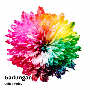 Gadungan
