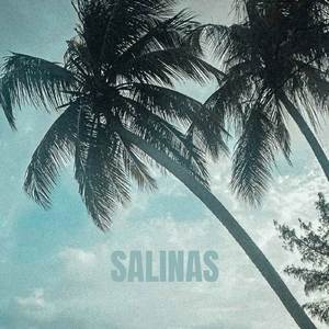 SALINAS