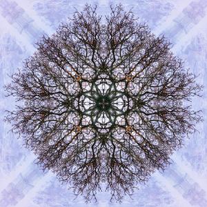 Last Breath Of A Separate Life