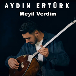 Meyil Verdim