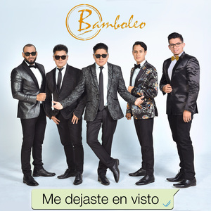 Me dejaste en visto