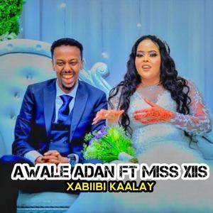 Xabiibi Kaalay (feat. Awale Adan)