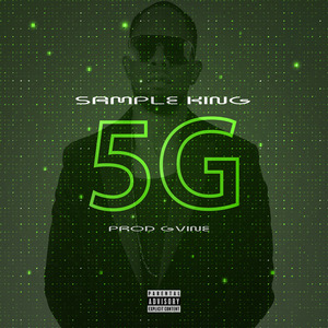 5G