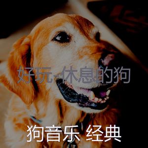 太棒了(训练你的狗)