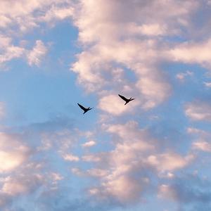 무심결에 놓치고 사는 것들에