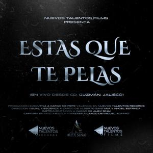 ESTAS QUE TE PELAS