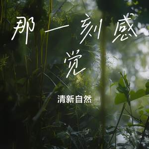 那一刻感觉