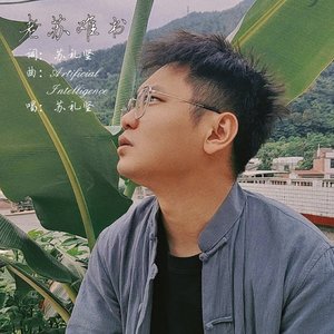 苏礼坚 - 老苏难书