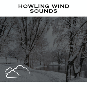 Winter Storms - No Fade