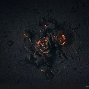 我的心里种满鲜花