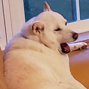 All The Things That You Do To Me