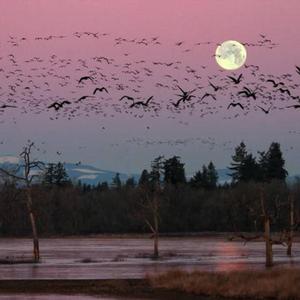 很忙 emo type beat