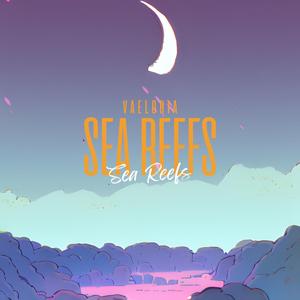 Sea Reefs