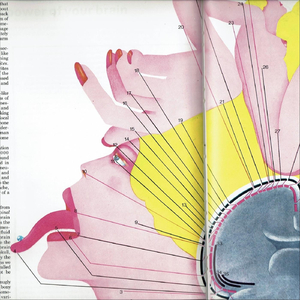 Jack Sparrow Lookin' Like a Caterpillar