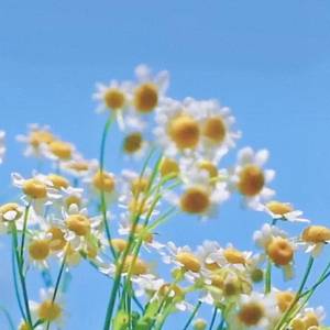 没有人不比我快乐