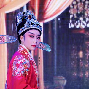 《五女拜寿》 选段 《奉汤》（洪董艳慧 演唱）