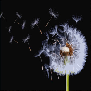 Desert Gush of Winds