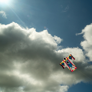 Flights