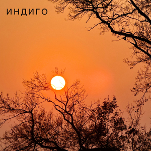 Индиго