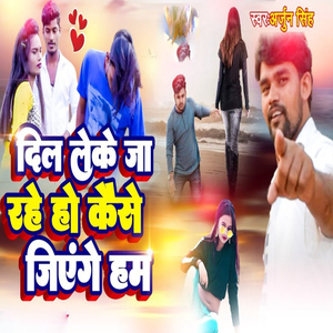 Dil Leke Ja Rahe Ho Kaise Jiyenge Ham