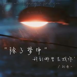 除了梦中我到哪里去找你