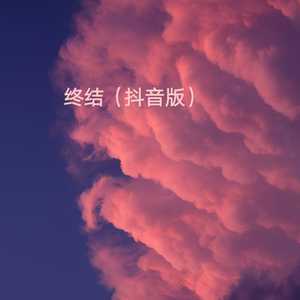 终结 (抖音版)