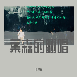 凤凰花开的路口