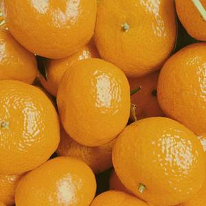 桔子Orange