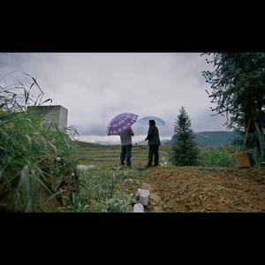 四个春天纪录片-青年友谊圆舞曲