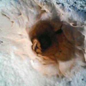 D33P3R 1nt0 The Aby55