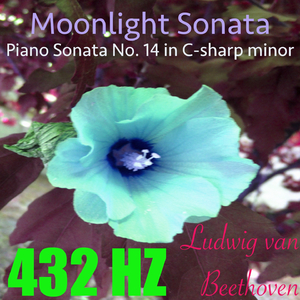 432 Hz - Piano Sonata No. 14 in C-Sharp Minor, Op. 27 No. 2 _Moonlight Sonata__ II. Adagio sostenuto(Binaural Piano Version)